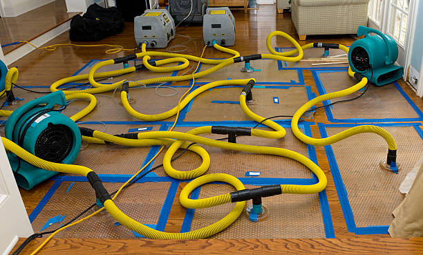 Professional Storm Water Damage Restoration technician working in Fairhope, AL
